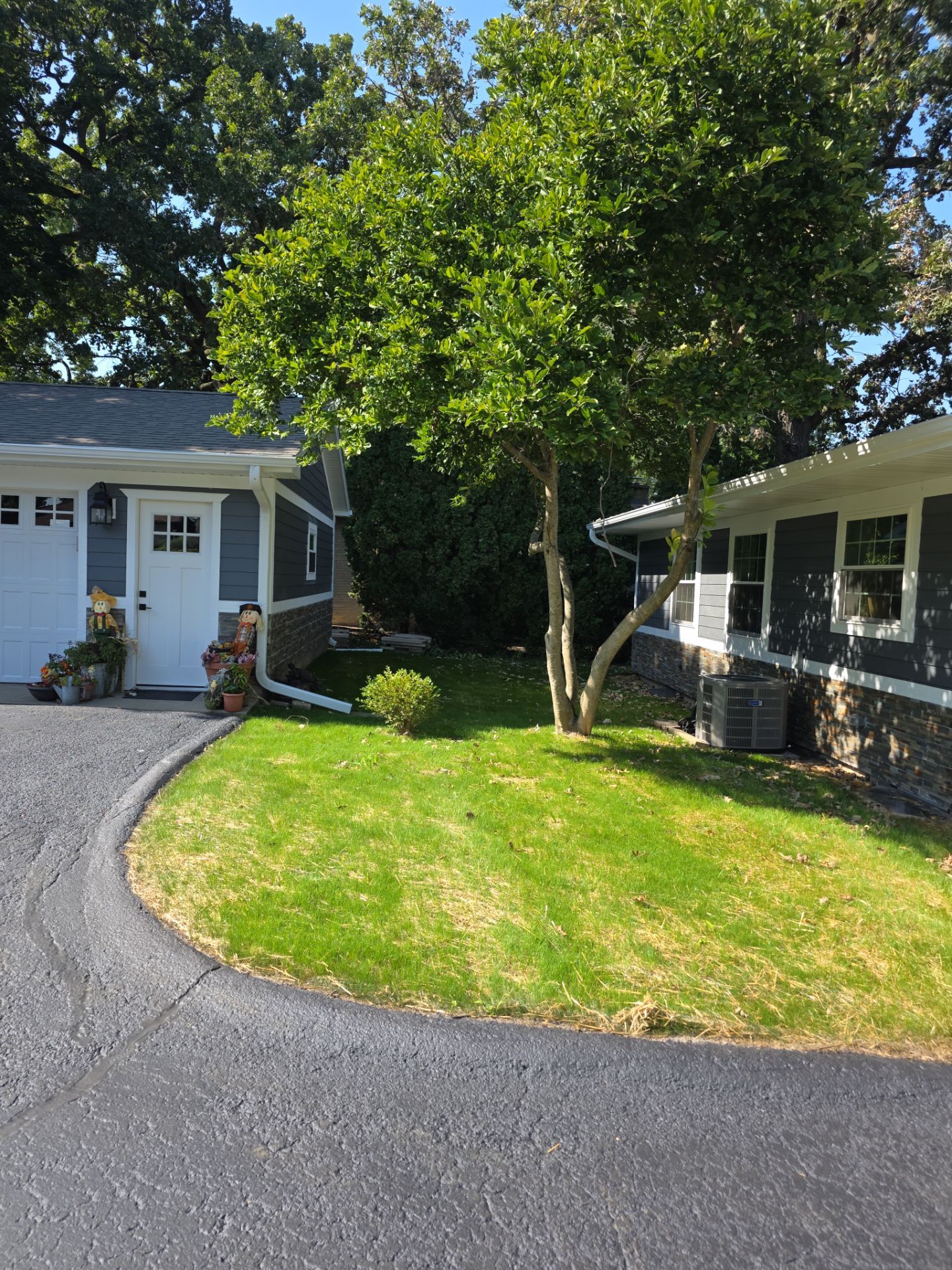 Cera Restoration featured photo.