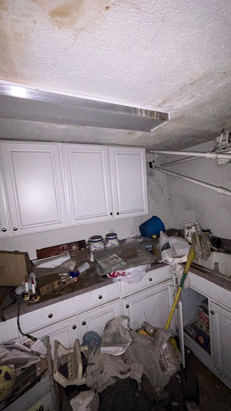 Mold Remediation by Accountable Home Services