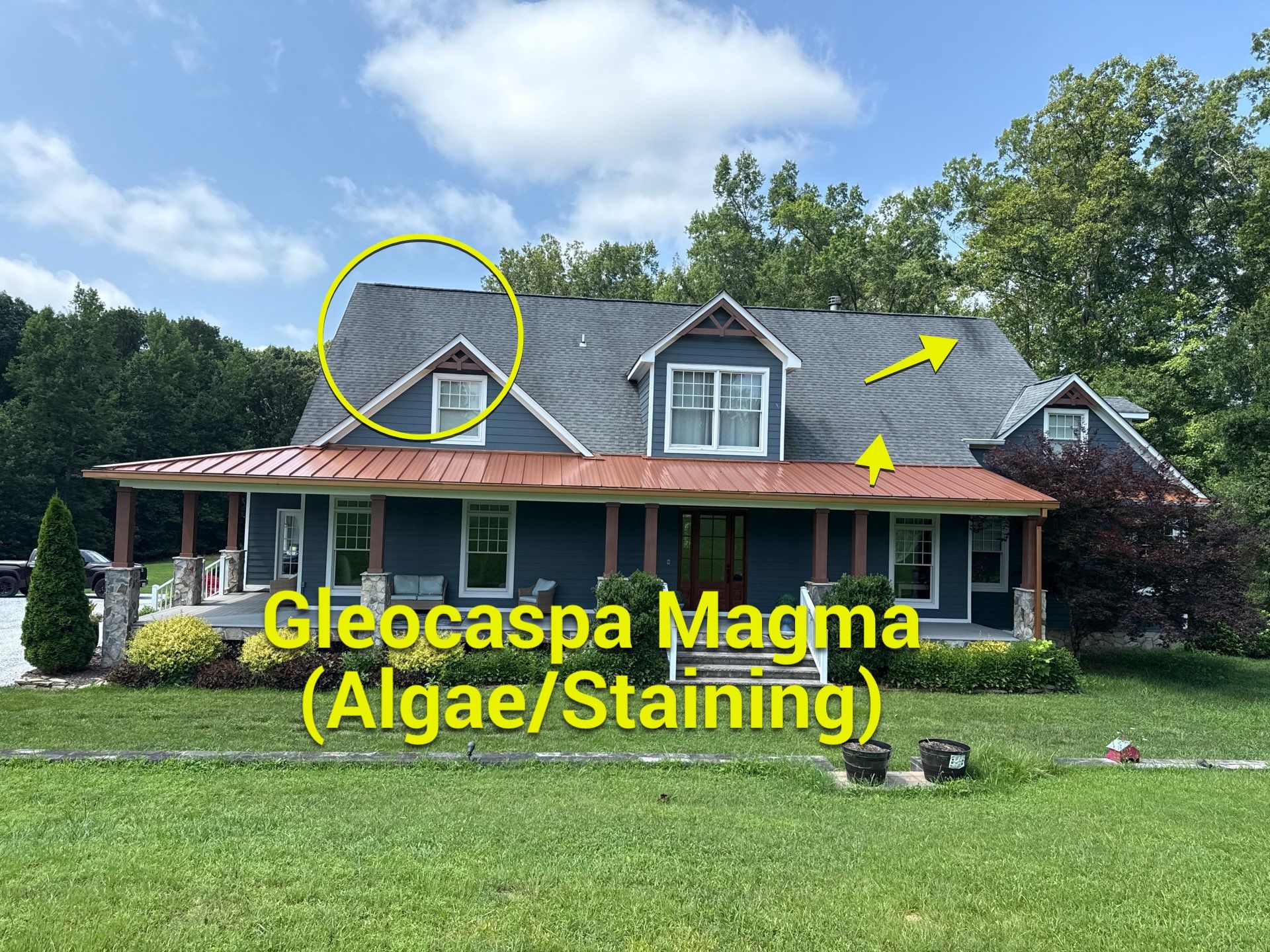 Project in Maidens by Roof Maxx of Midlothian