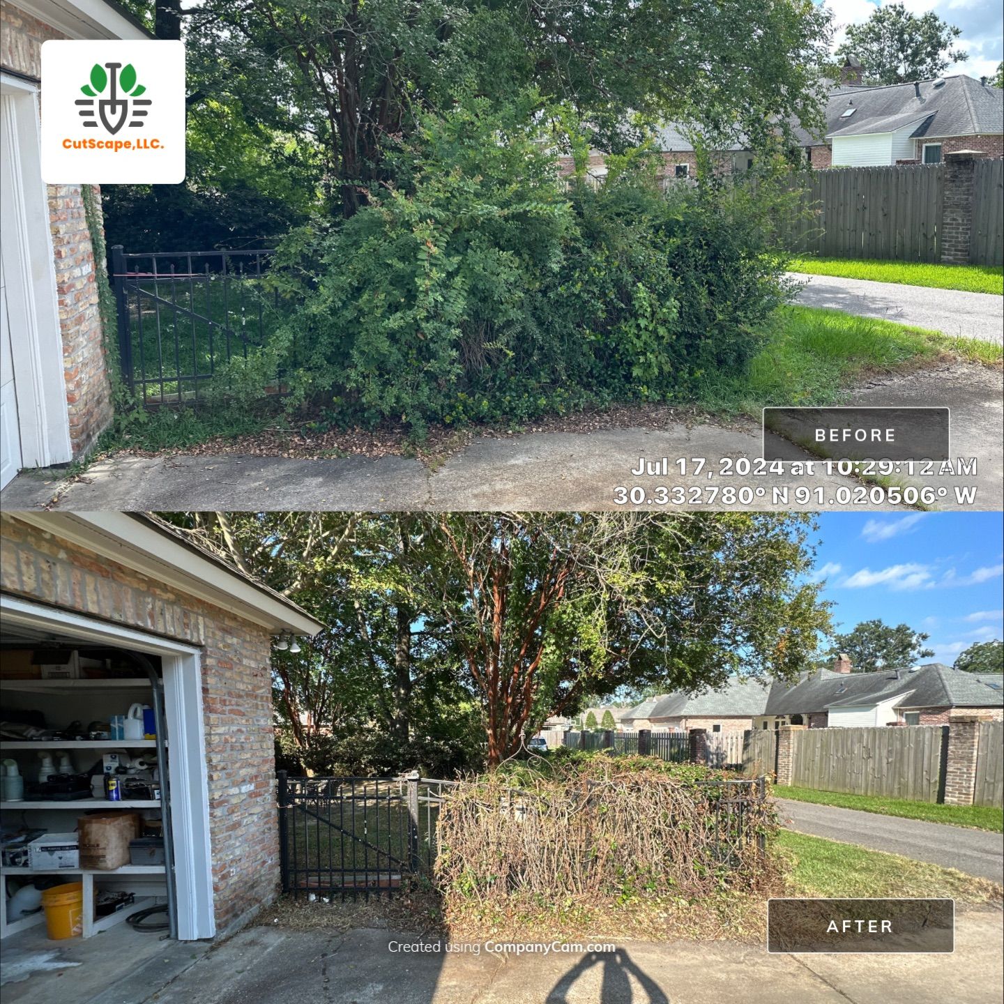 LANDSCAPE SERVICES: CLEAN OUT / TRIM / BRUSH DEBRIS REMOVAL by CutScape, LLC.