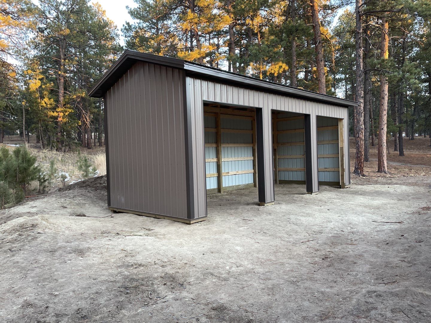 Project in Ponderosa Park by Prism Builds