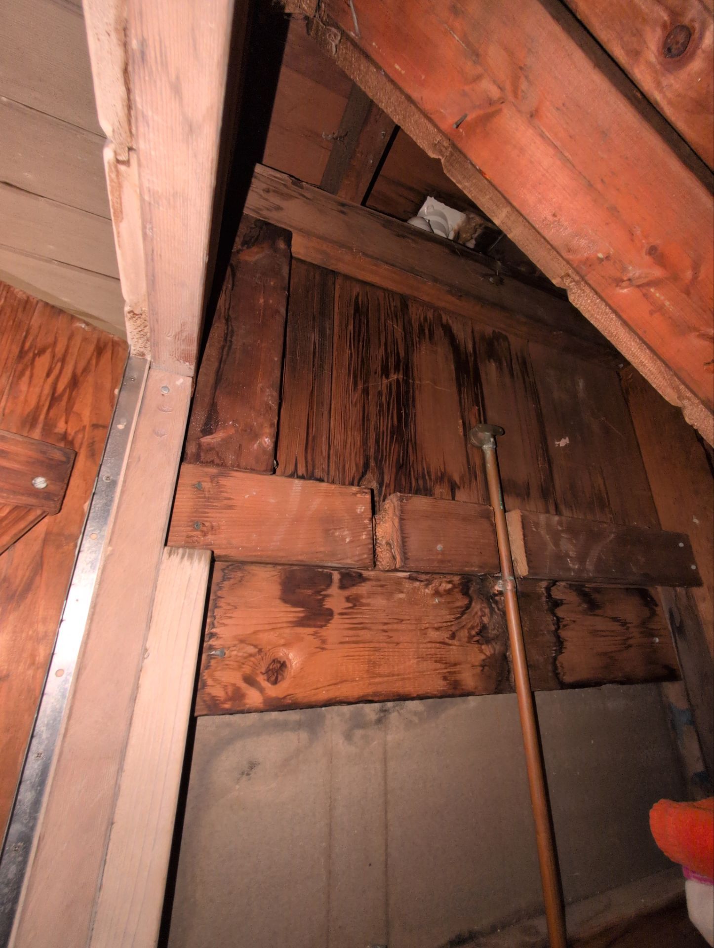 Project in Ocean Beach  by Resto Wizards