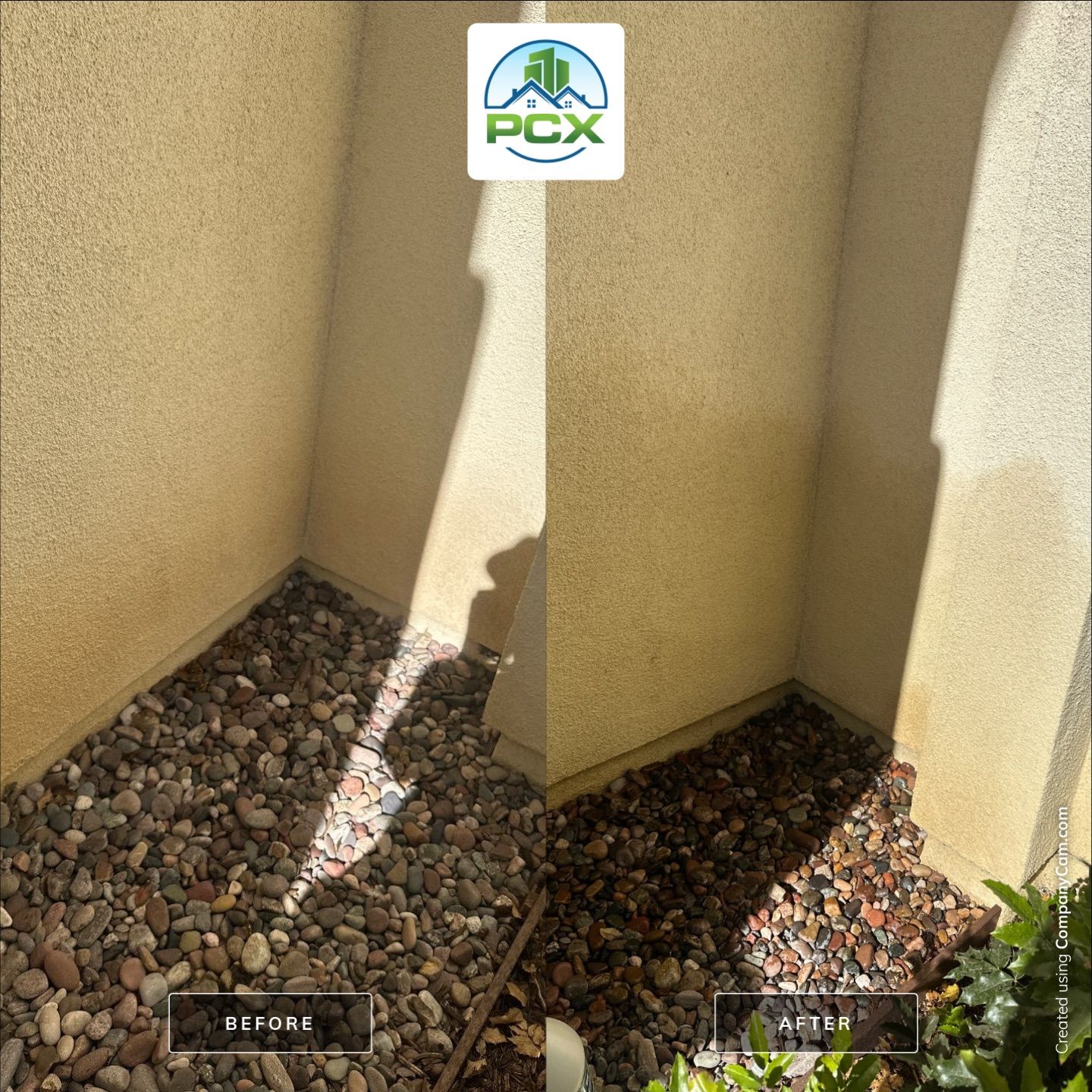 Costa Mesa House Washing - soft wash and chemical removal by Property Cleaning Experts