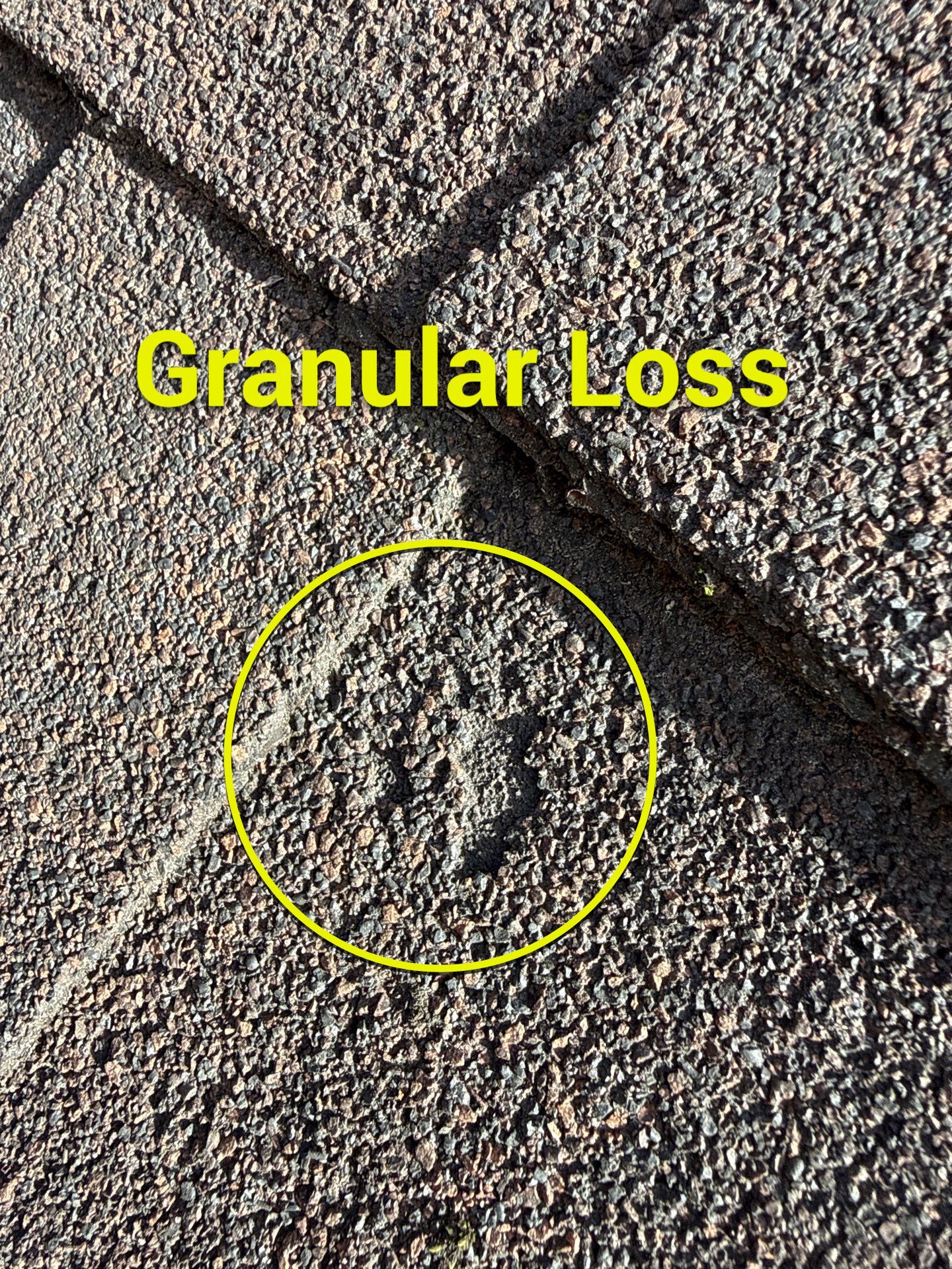 Project in Midlothian by Roof Maxx of Midlothian