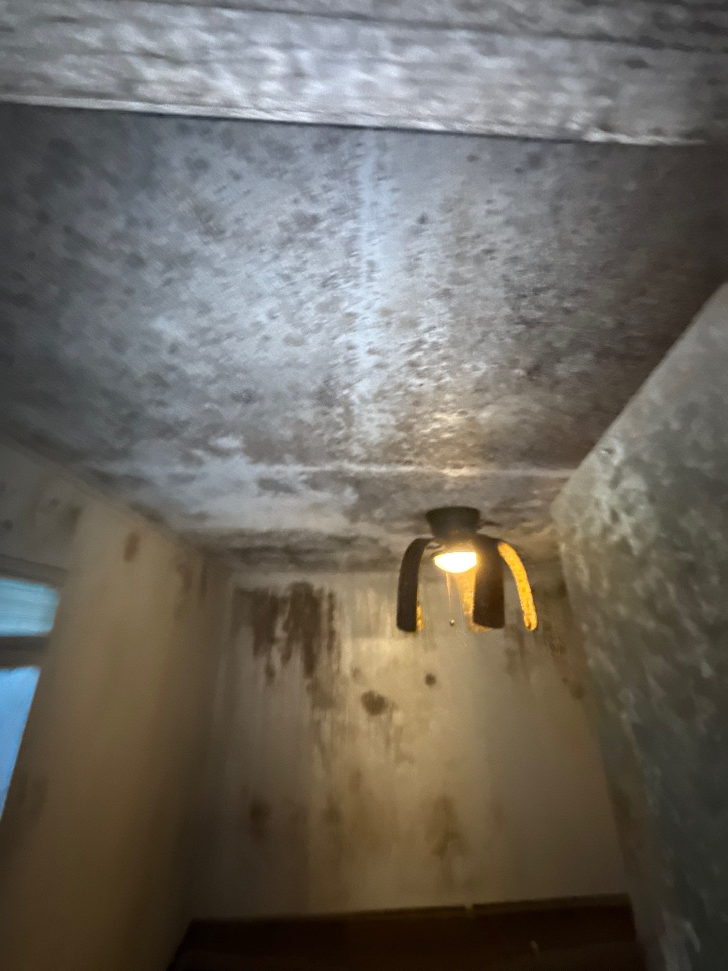 The Slate by Disaster Recovery Consultants