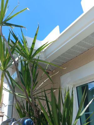 Splash Guards in Cape Coral FL