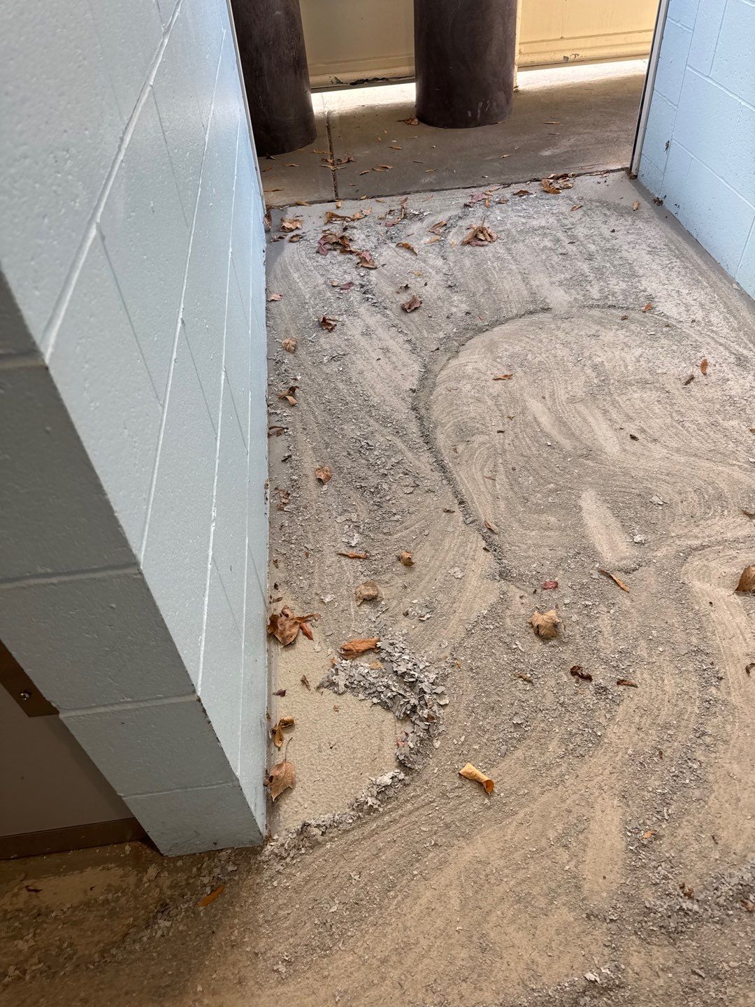 Muni Pool House Project in Crafton  by Floors in a Day, Inc