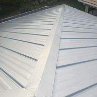 24ga 1" Nail-Strip Mill Finish by Total Roofing System The Metal Roof Experts