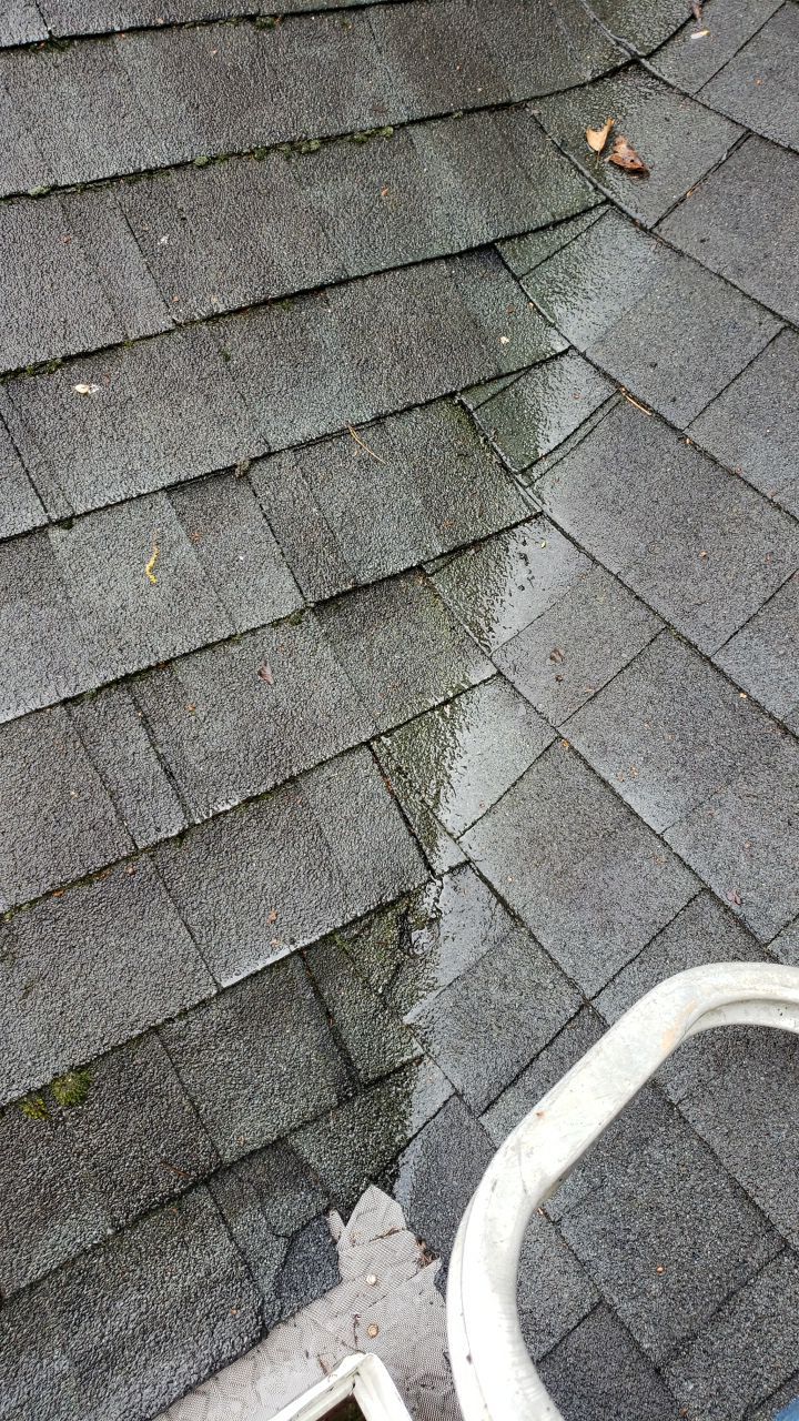 House Wash using cleaner by Power Wash Masters LLC