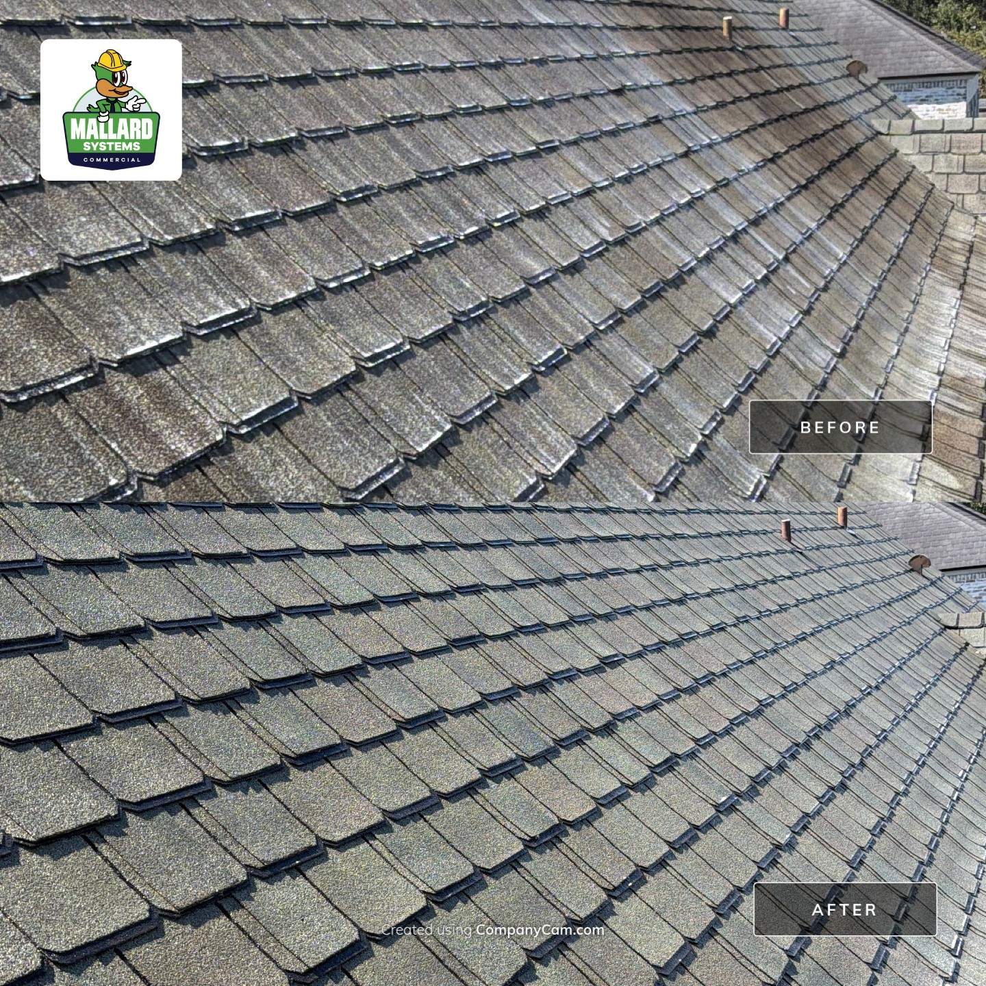 Shingle Roof Cleaning Winter Park by Mallard Systems