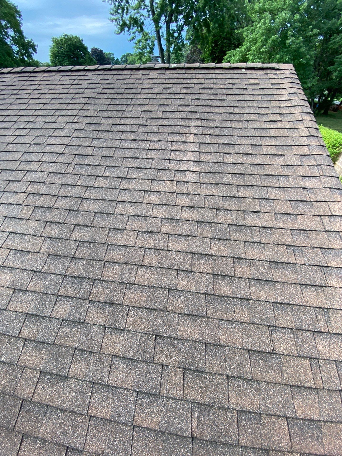 Autumn Brown Shingles by Reimagine Roofing
