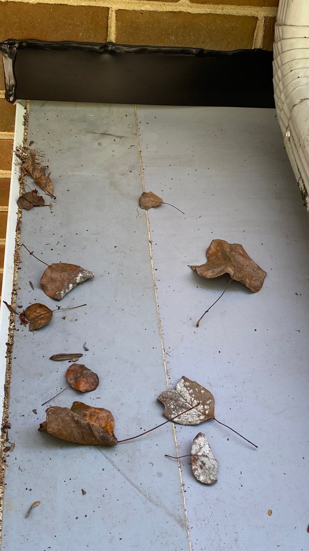 Annandale: Roof Replacement with CertainTeed Landmark Pro Designer Shingles in Max Def Pewter by RM Banning, Inc.