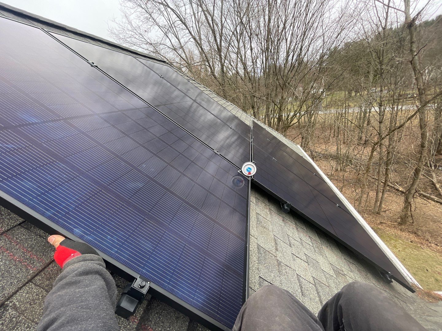 Solar Panel Installation: Tree work Included by Infinity Solar Systems