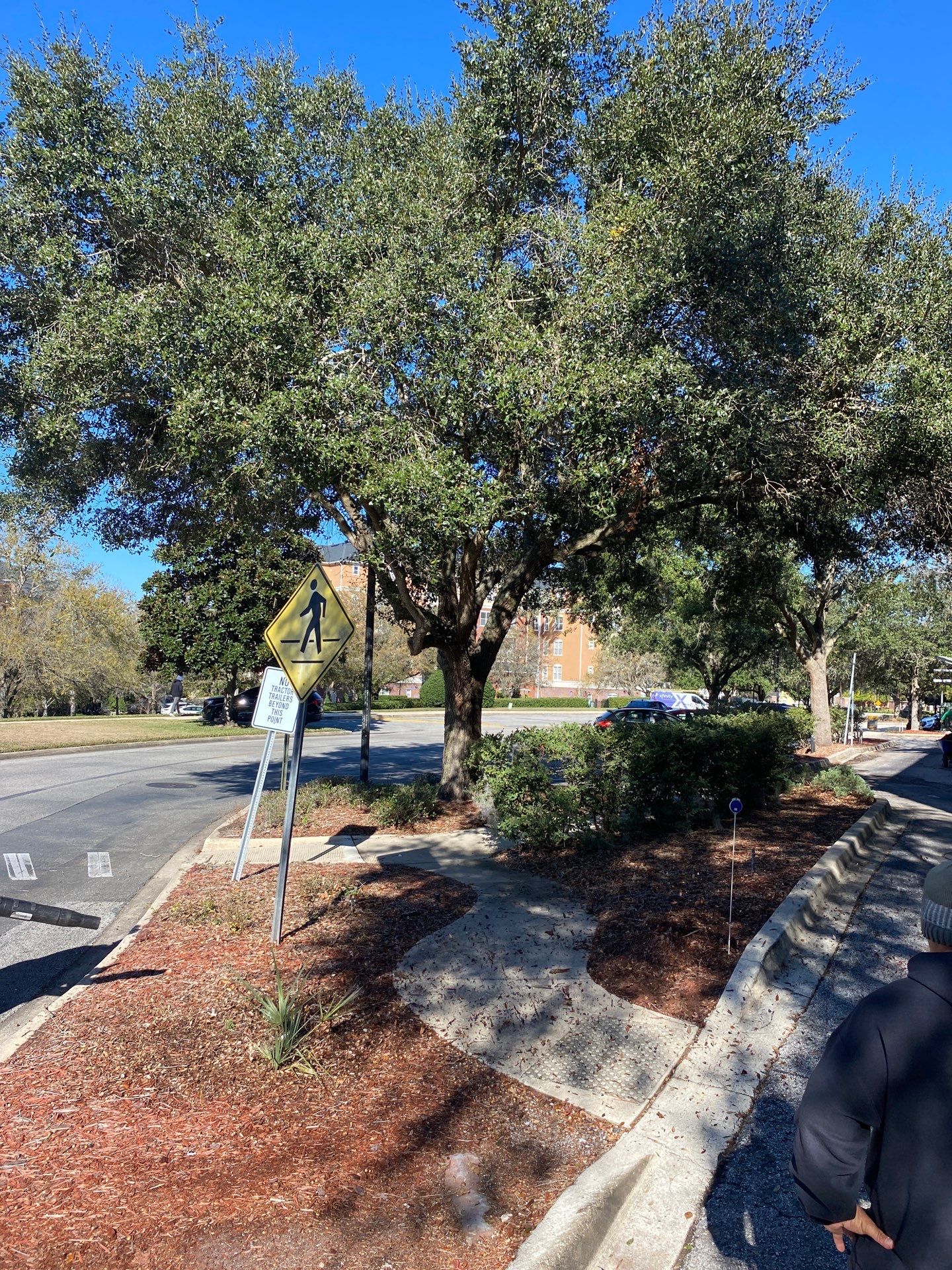 Larry’s Giant Subs | Rock & Mulch by ProGreen Services