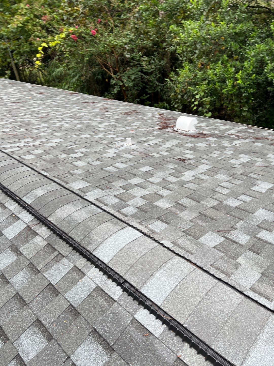 Shingle Reroof Replacement Altoona FL by Pinnacle Roofing Group