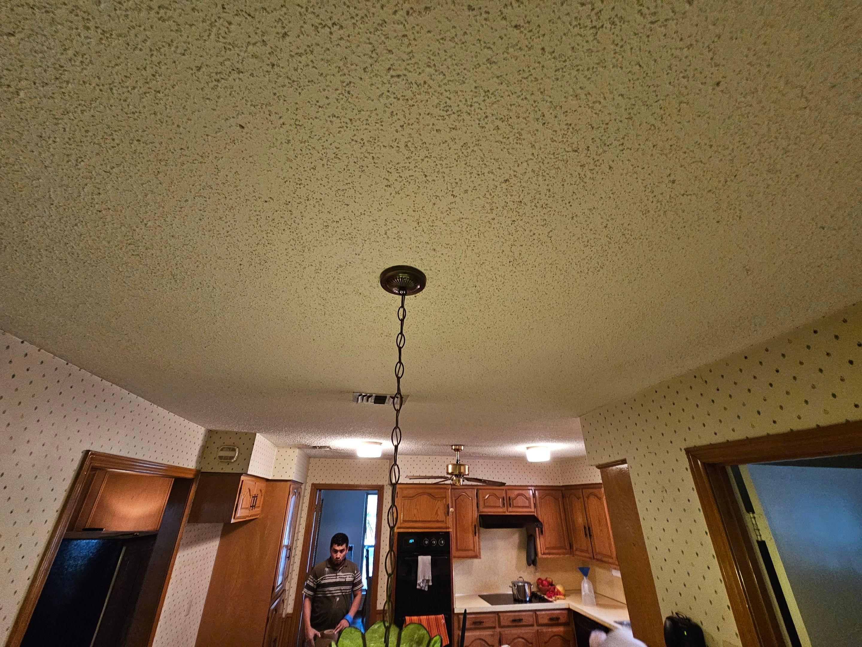 Roof replacement, popcorn removal, fence stain & paint by EL-GC LLC 