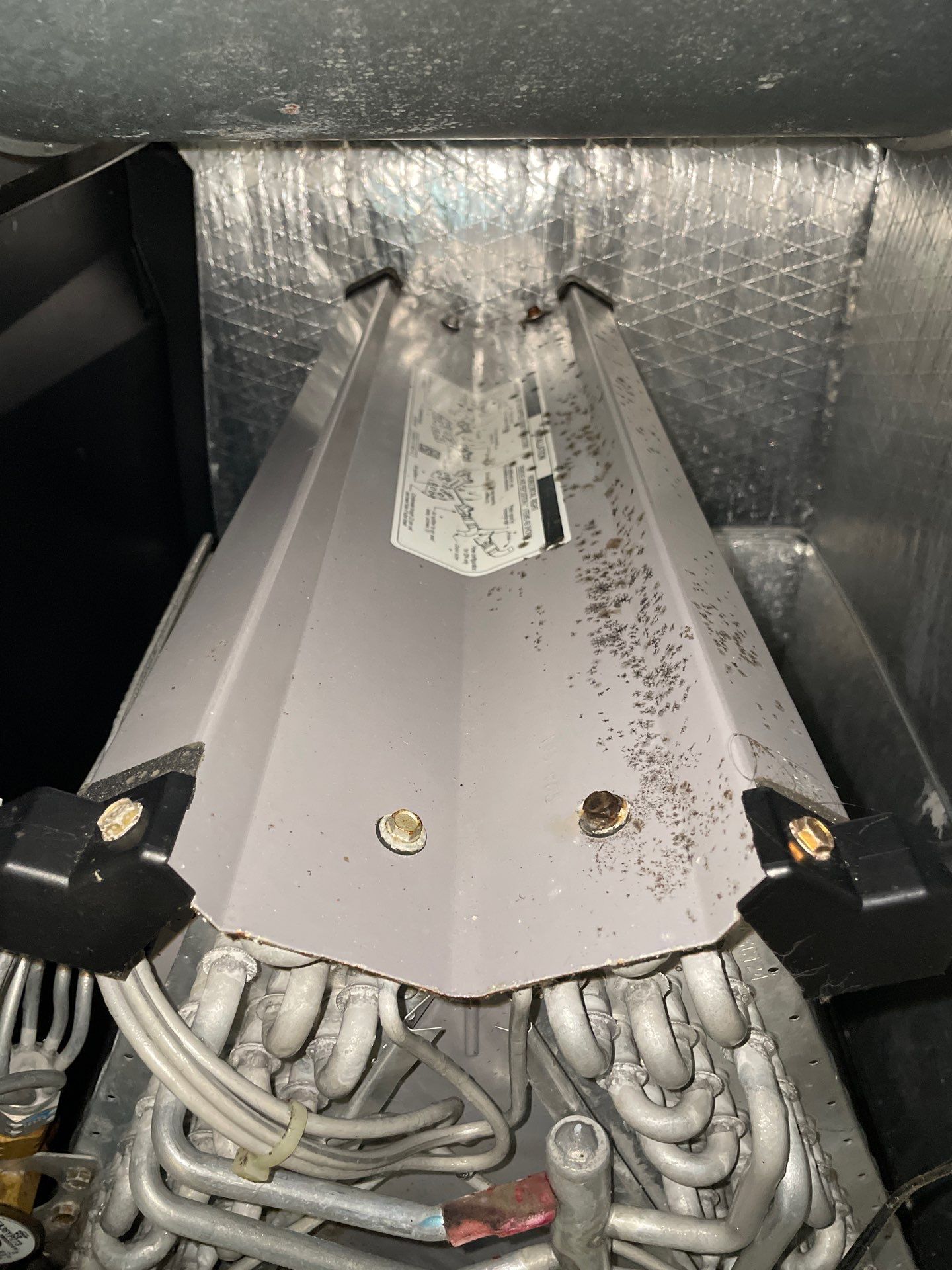 Air Duct Cleaning in Clermont by Hygienic Air, Inc