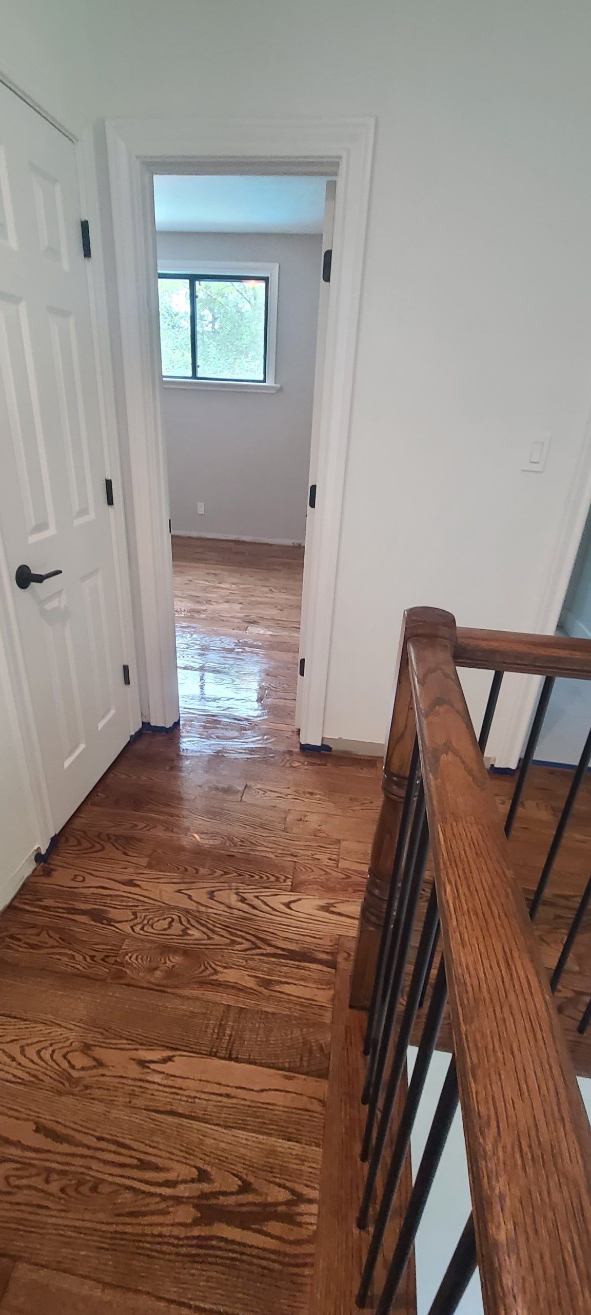 The Napolitano Family by SophAlx LLC