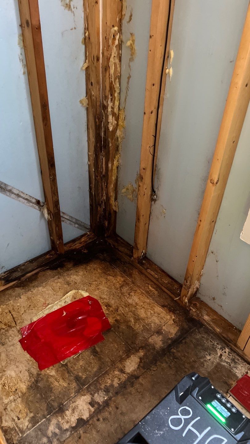 Water Damage and Mold Remediation by Accountable Home Services