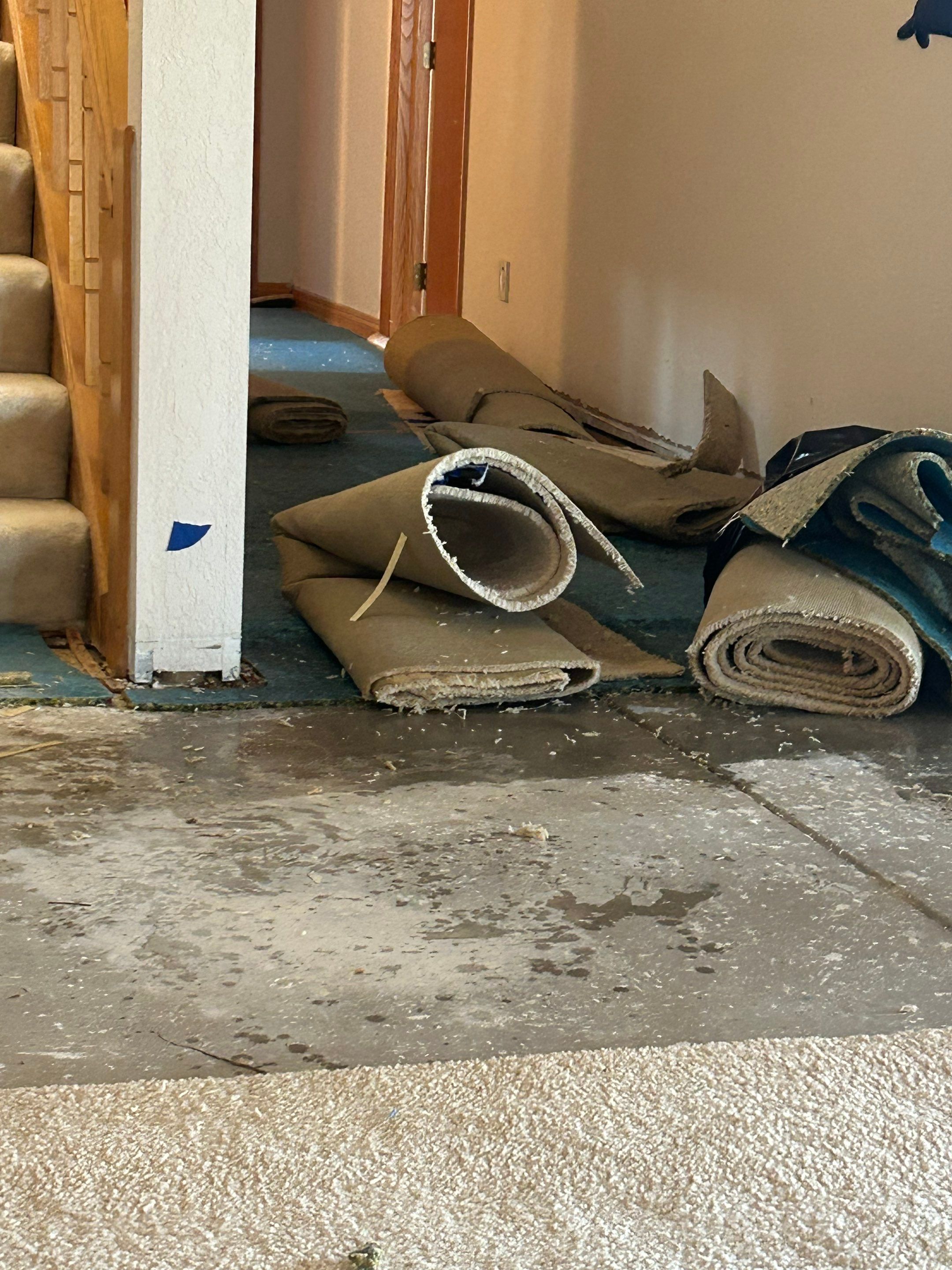 Water Damage in Wheat Ridge, CO by Alpha Restoration 
