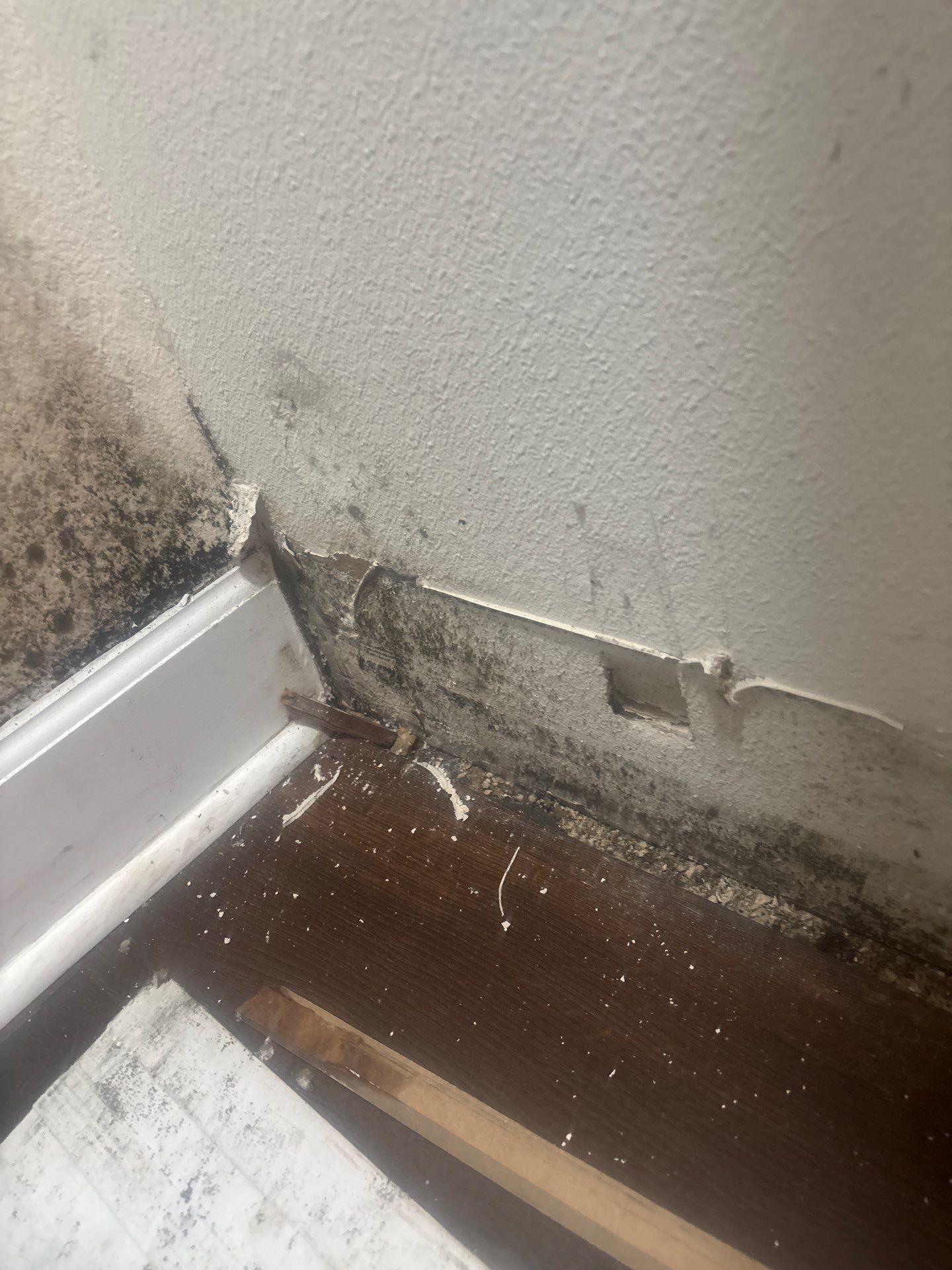 Water Damage Repair In Ellenton, FL by Ampm Restoration Services