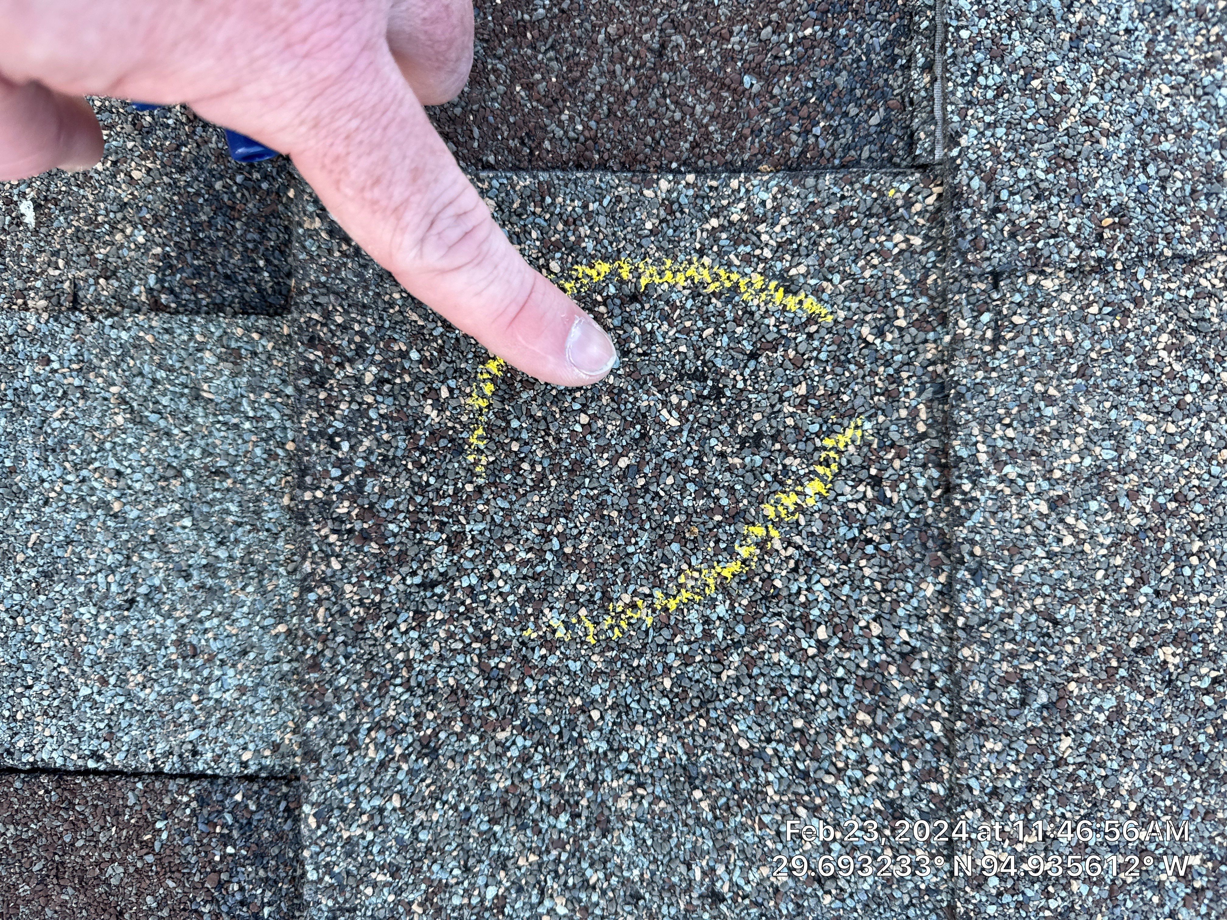 Hail Damage by Southern Belle