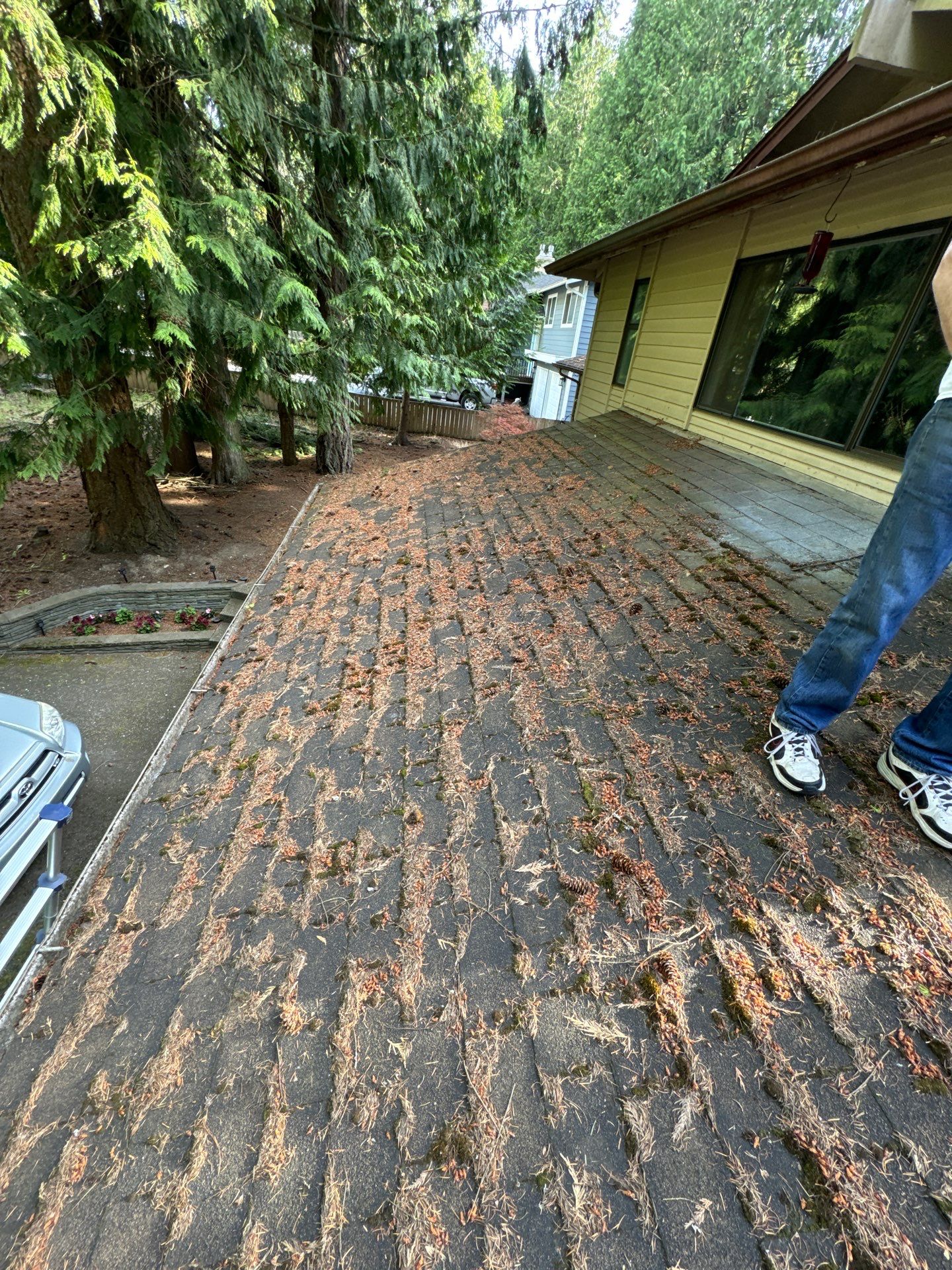 Project in Edmonds by Peaks and Valleys Construction