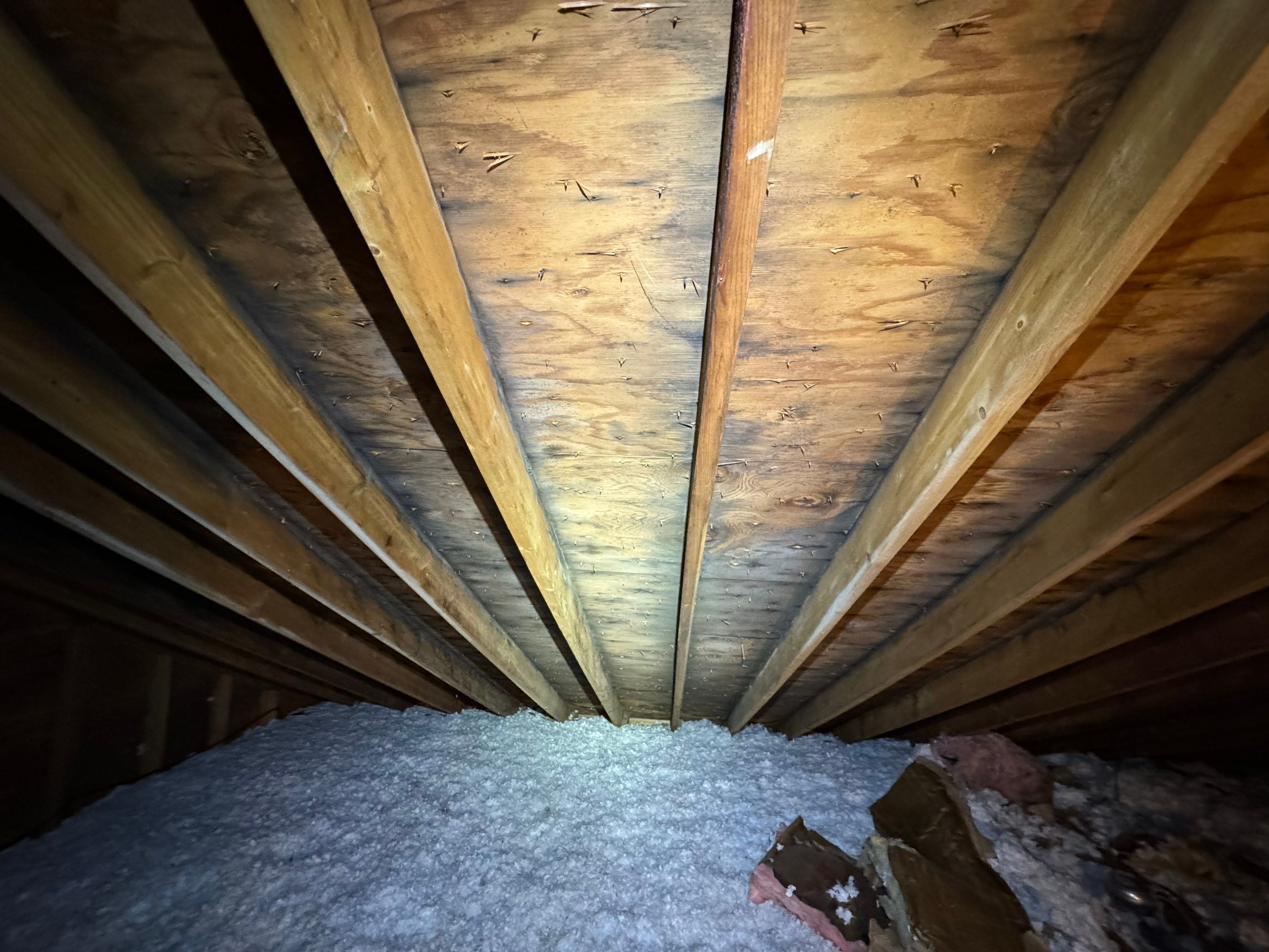 Attic Mold Remediation by Home Guarantee, LLC