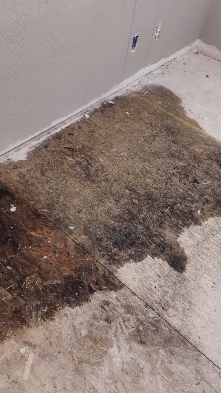 Water Damage Restoration by Accountable Home Services