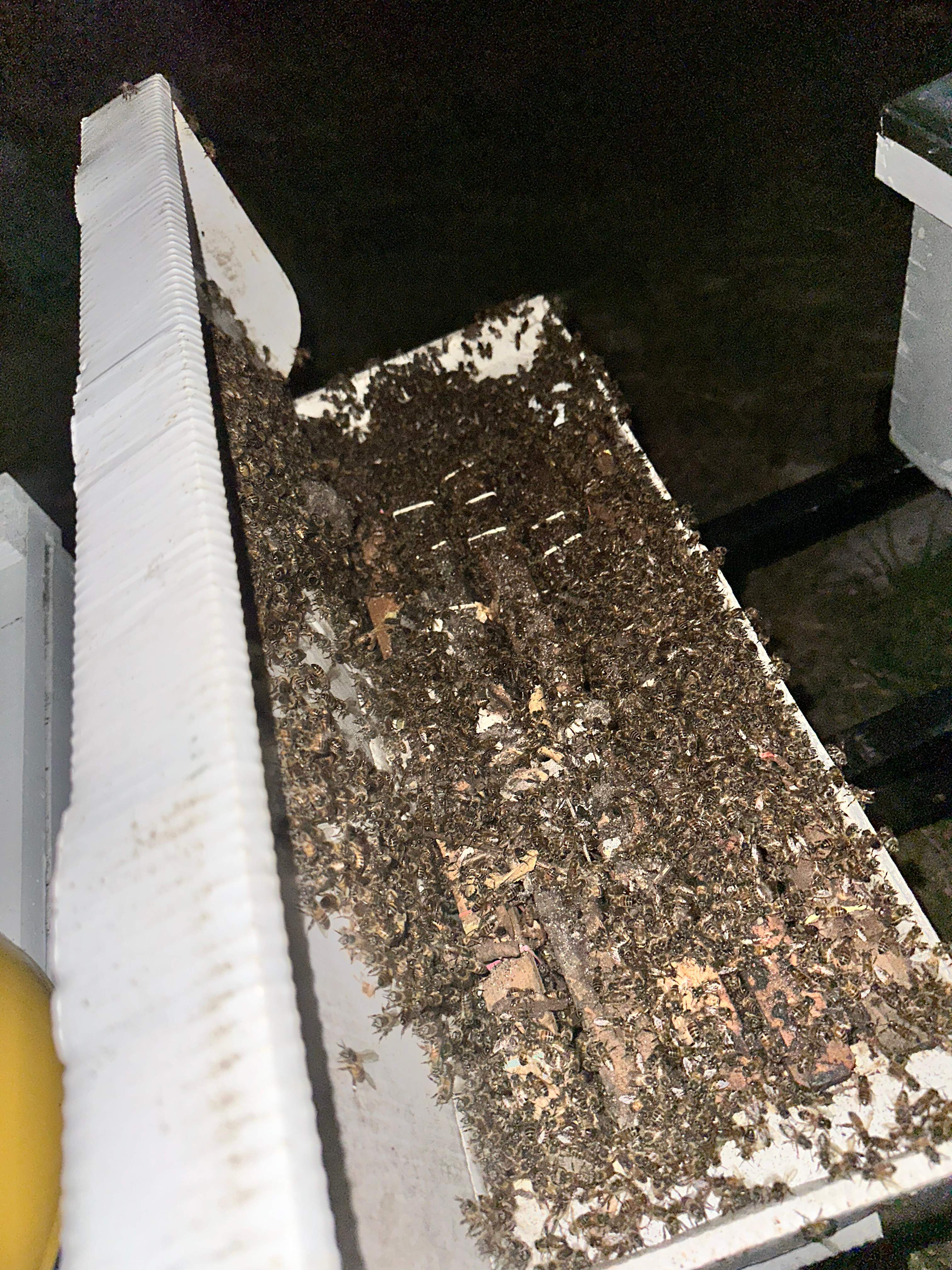 Demoed Cinderblock Wall by Rockwall Honey Bee Company