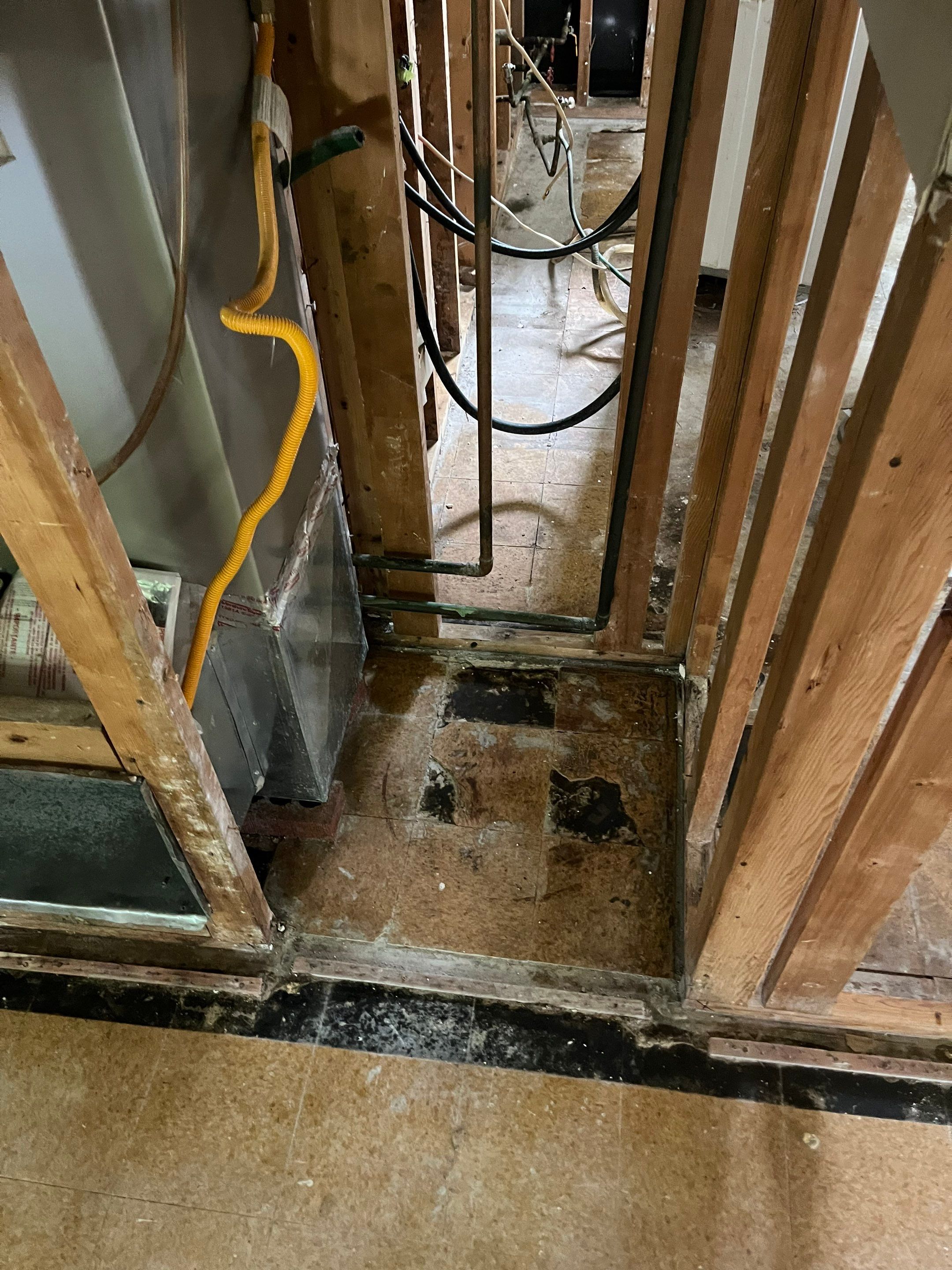 Mold Remediation After Water Damage in a Home in Clarksville, IN by ANR Restoration