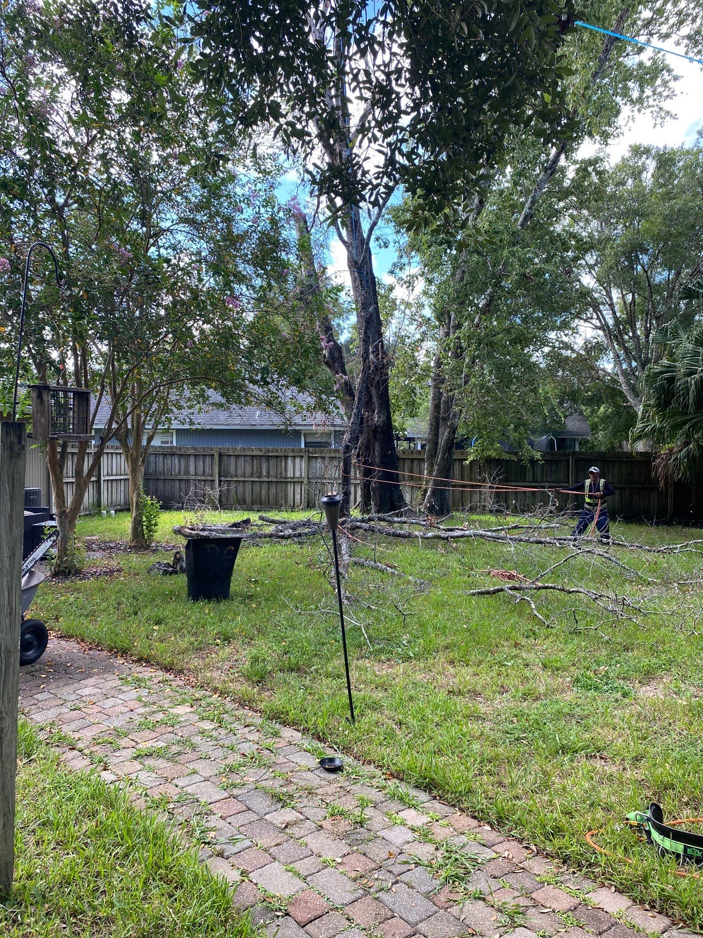 Tree Removal | Residential by ProGreen Services