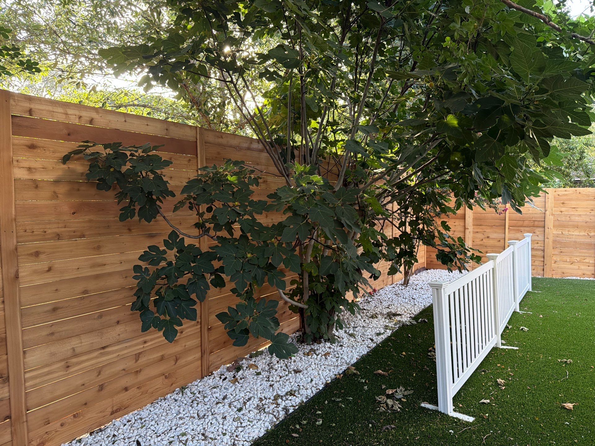 Custom Horizontal Cedar Privacy Fence and Gate Installation in Austin by Rhino Home Care