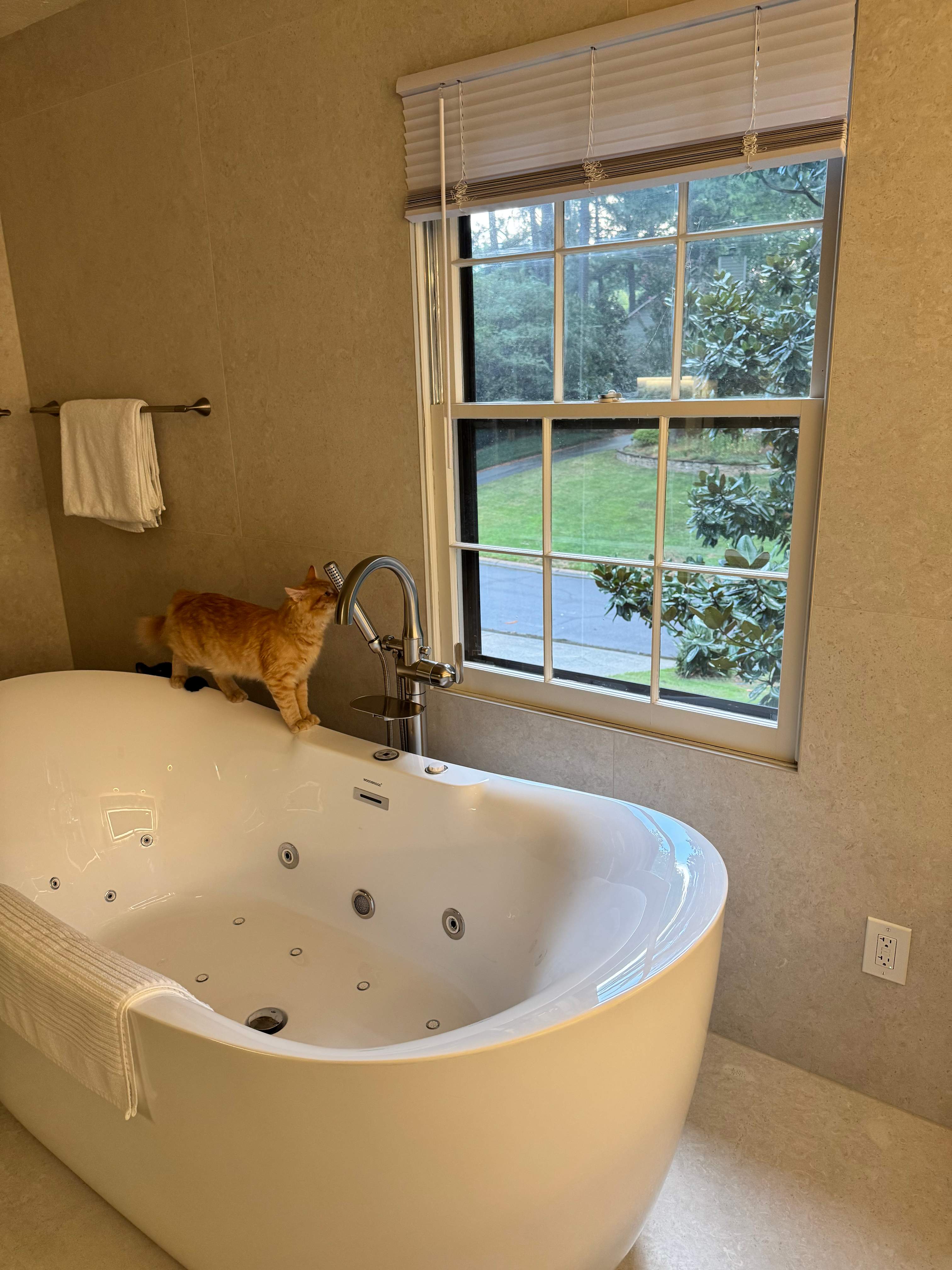 Master bathroom remodel by Prudencio
