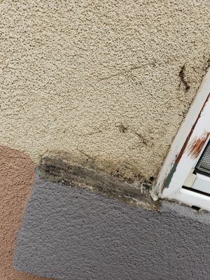 Project in Littleton