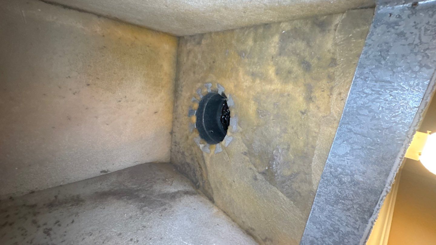Air Duct and Dryer Vent Cleaning in Leesburg by Hygienic Air, Inc