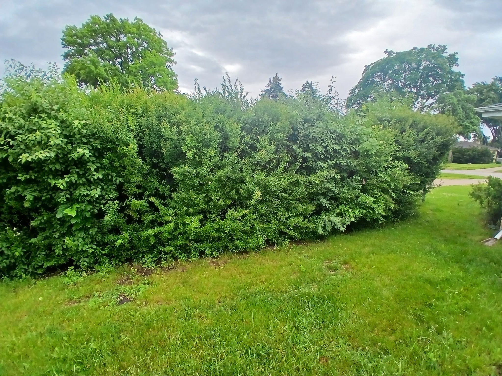 Pamela D. - Mount Prospect, IL by A&N