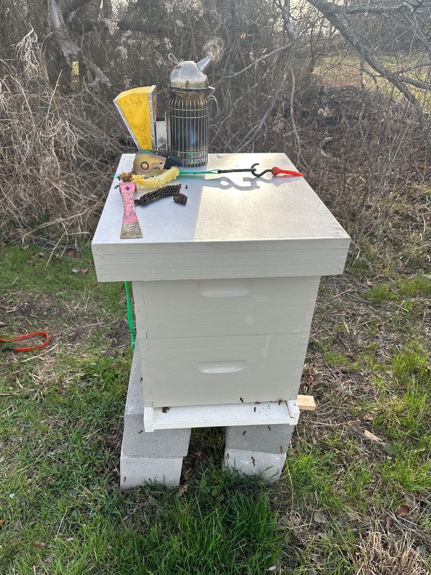 Honey-Maker Apiary in Greenville by Rockwall Honey Bee Company