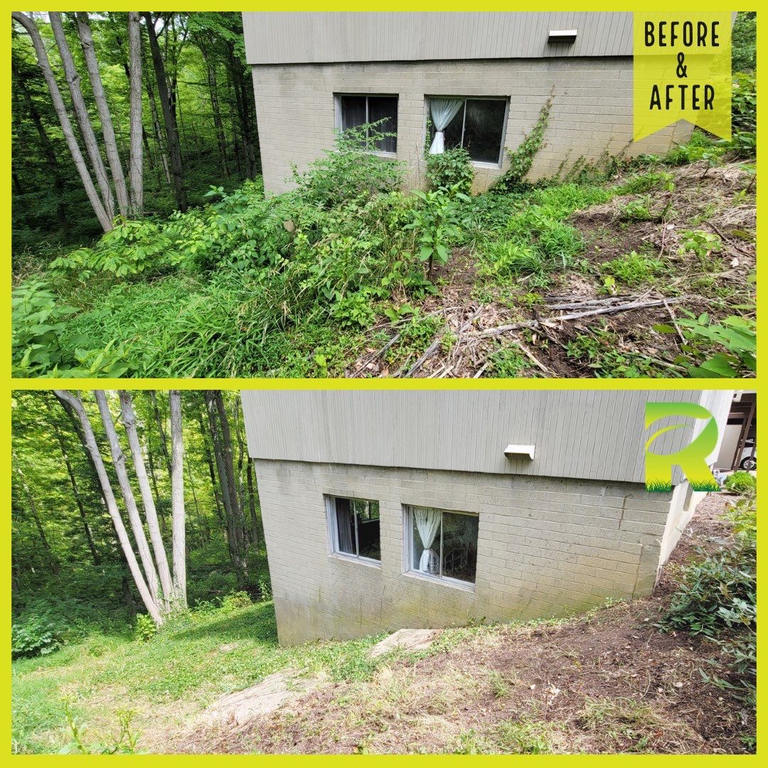Land Clearing Behind House and Deck by Reisenberg’s Lawn & Landscape, LLC