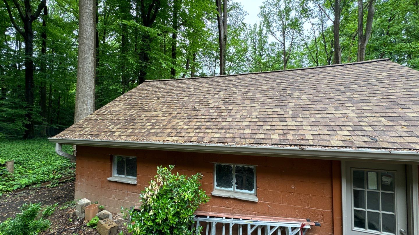 Annandale: Multi-Trade Tree Damage Restoration by RM Banning, Inc.