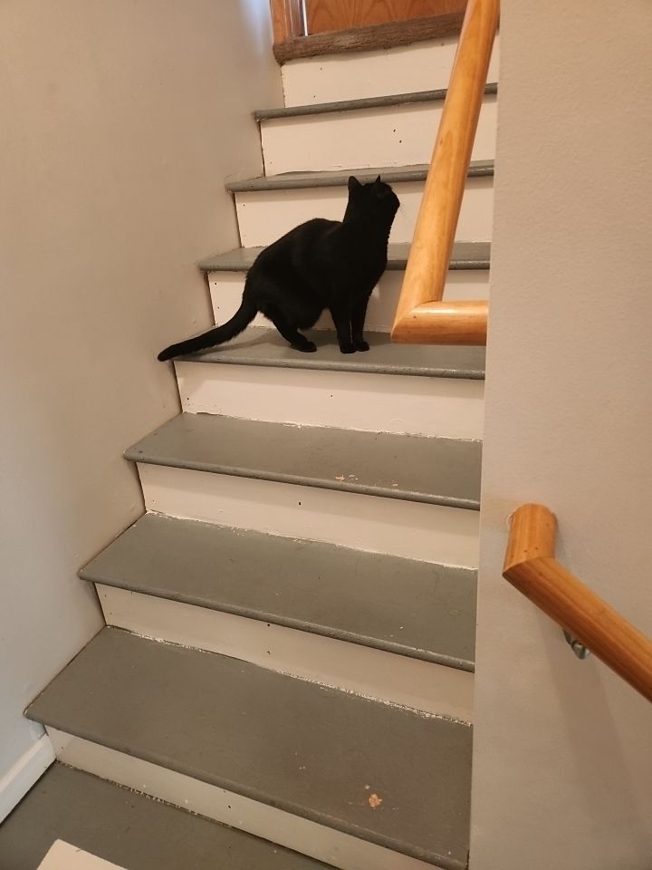 Abby Wenninghoff by FloorCo