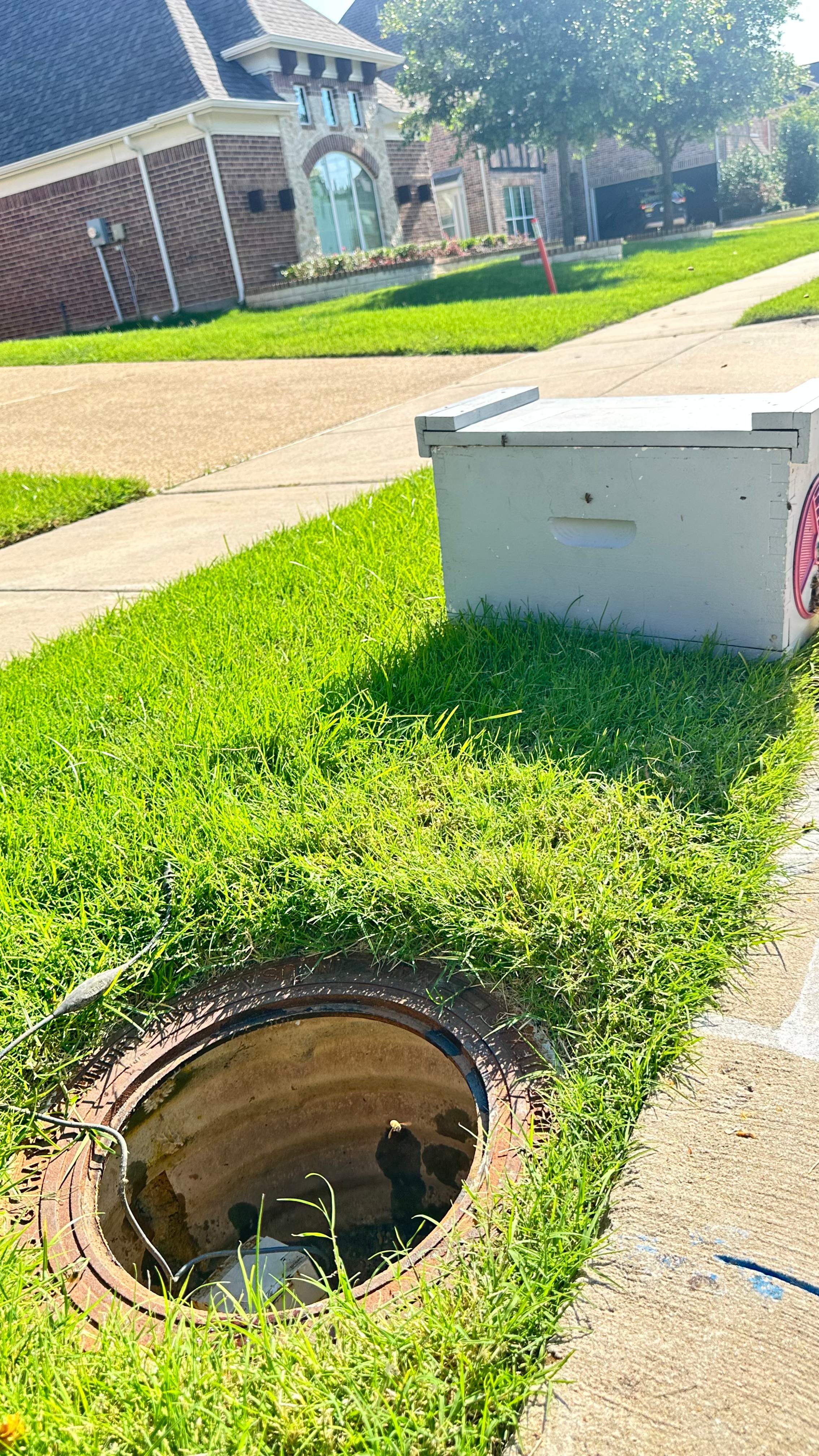 Water Meter by Rockwall Honey Bee Company