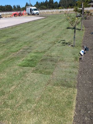 Project in Stockton