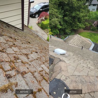 Moss Treatment using Biocide