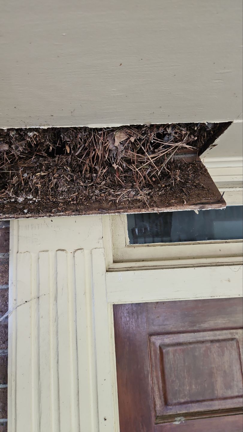 NEW ROOF WITH TRIM RESTORATION by Indigo State Roofing