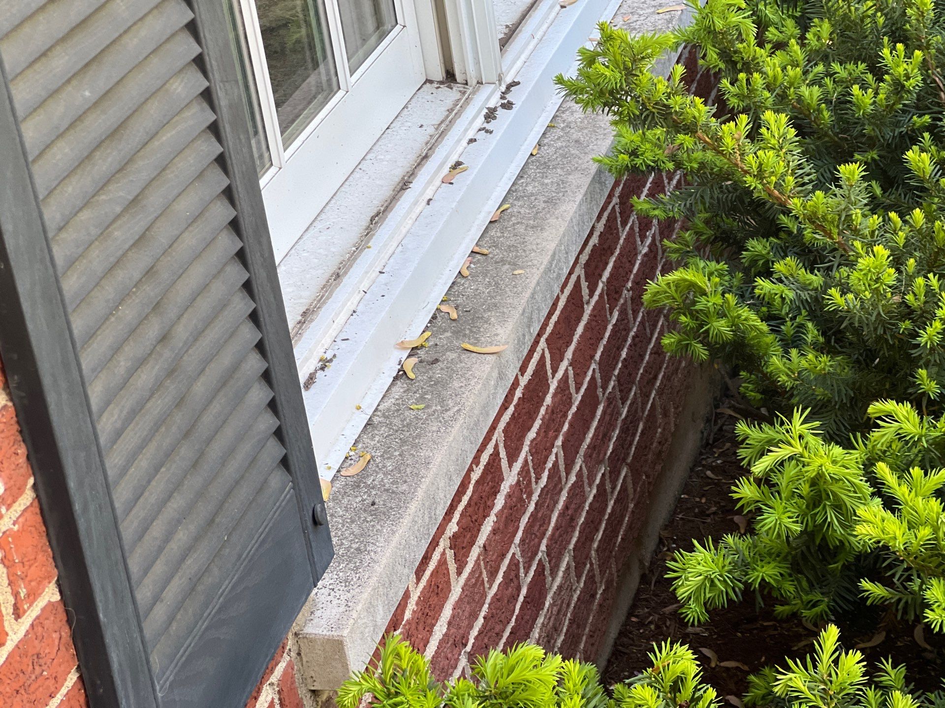 Housewashing  using Algaecide, soft wash soap by Northern Power Washing LLC.