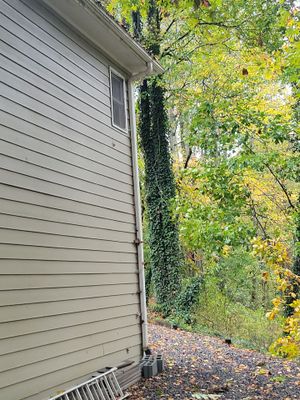 Project in Cumming