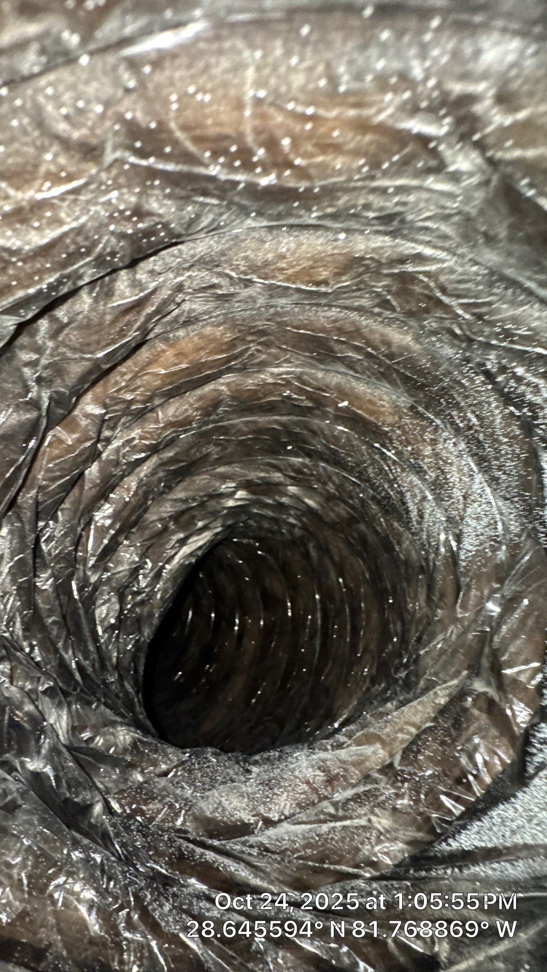 Air Duct Cleaning in Clermont by Hygienic Air, Inc