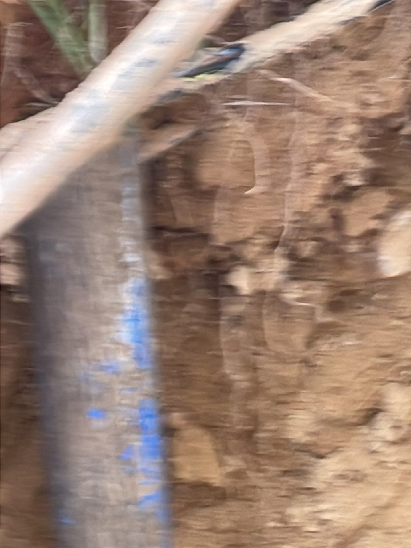 Egress window install, Great Falls, VA by Fairfax Contractors, LLC