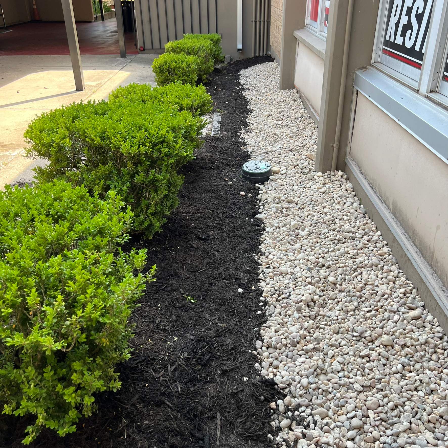 Landscape Install | Wilkinson JHS by ProGreen Services
